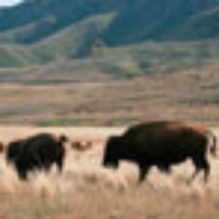 Pizzeria Antiche Mura